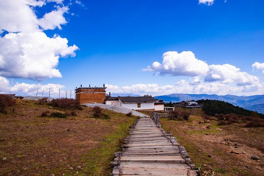 高山草场