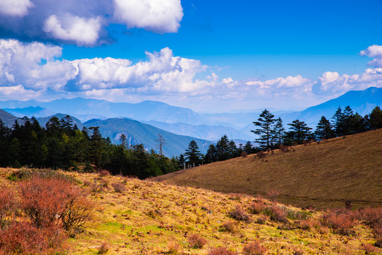 高山草场