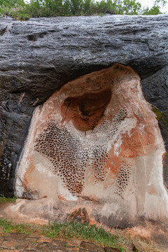 蜂窝岩