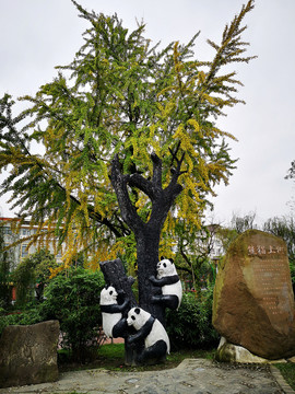 熊猫上树