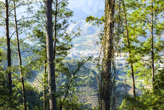 山野景色