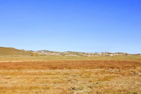 内蒙古木兰围场秋天的草原黄叶