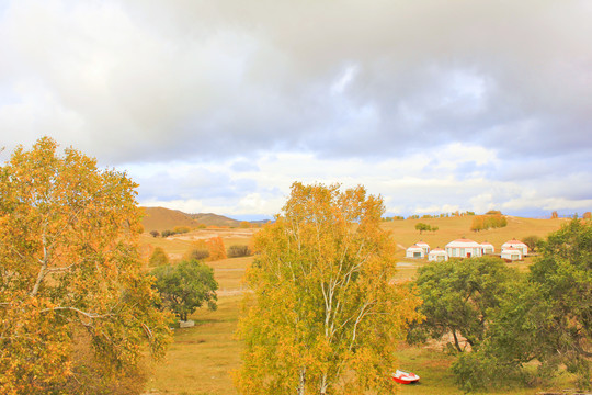 内蒙古木兰围场秋天的草原黄色草