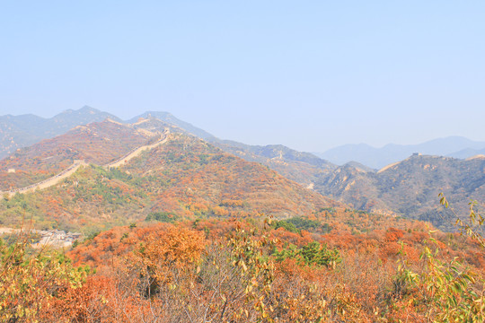 秋天长城的风景长城的秋色红叶