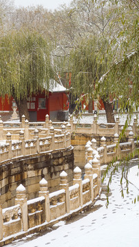 冬天故宫雪景雪后的北京故宫