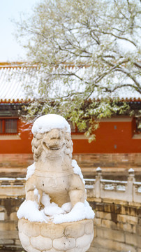 冬天故宫雪景雪后的故宫皇家园林