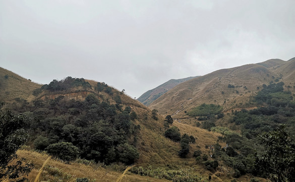 惠东大南山