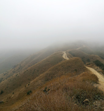 惠东大南山秋色