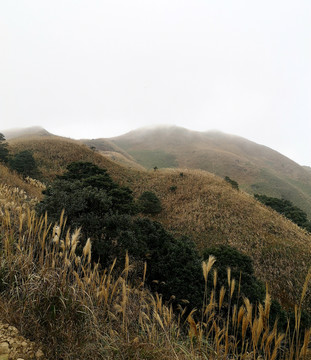 惠东大南山秋色