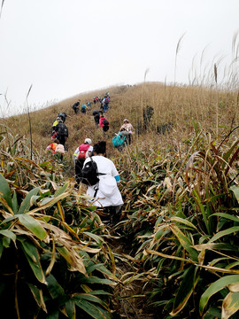 户外登山队