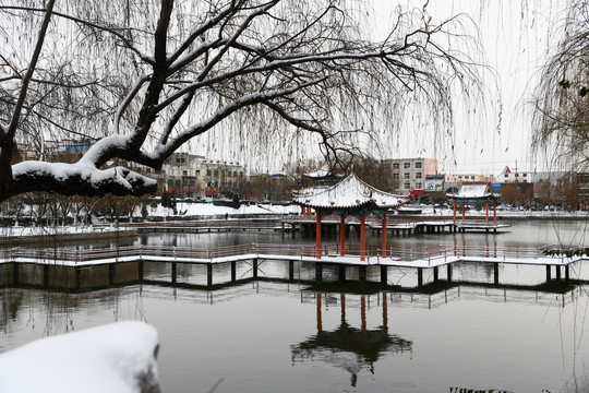 山东枣庄山亭区太清湖公园雪景