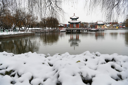 山东枣庄山亭区太清湖公园雪景