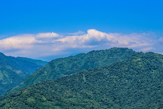 青城山