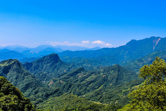 四川青城山