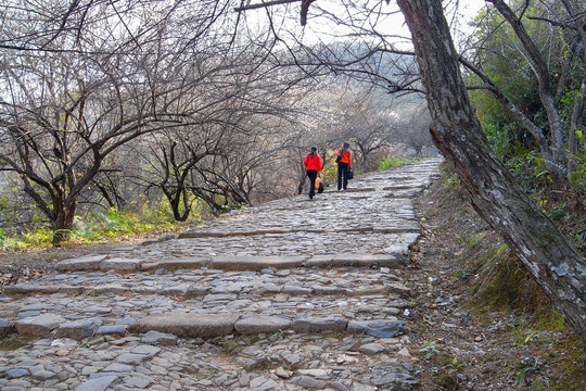 梅岭古驿道