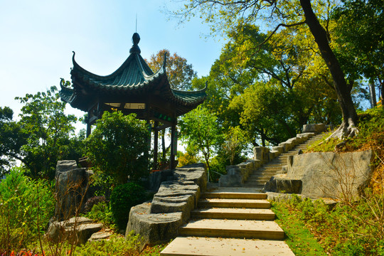 马山公园风景