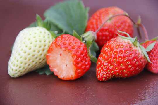 水果红颜草莓
