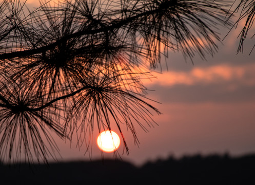 夕阳落日