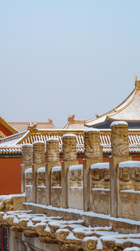 冬天故宫雪景雪后的北京故宫