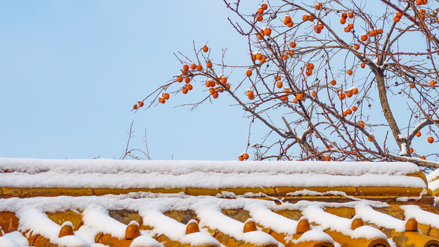 冬天故宫雪景雪后的北京故宫