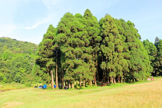 大容山森林公园