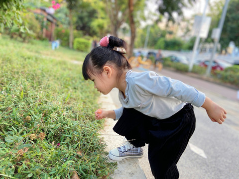 儿童探索植物