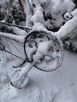 雪中的自行车