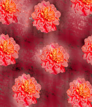 數(shù)碼印花