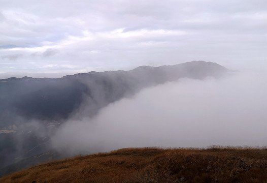 高山云雾