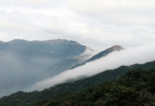 大山云雾