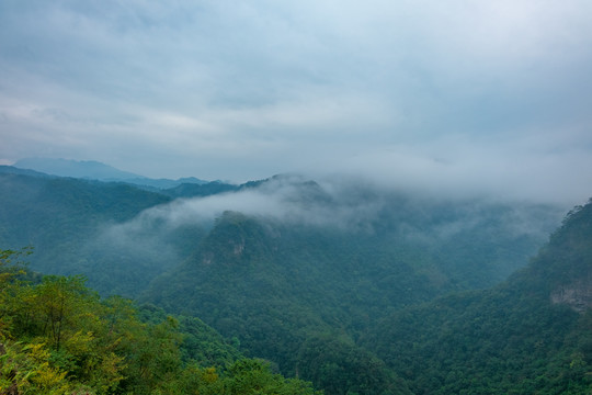 广西南宁武鸣大明山云海森林