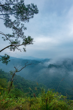 广西南宁武鸣大明山云海森林