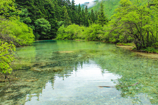 黄龙钙化五彩池