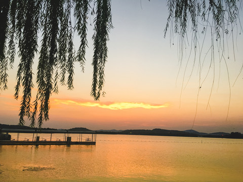 夕阳湖畔垂柳
