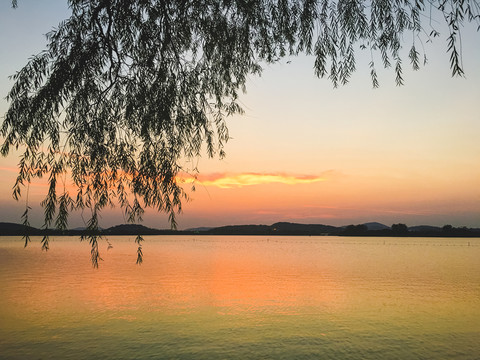 夕阳垂柳湖面