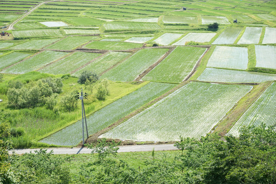 日本乡村风光