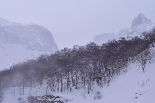 长白山雪景冬季