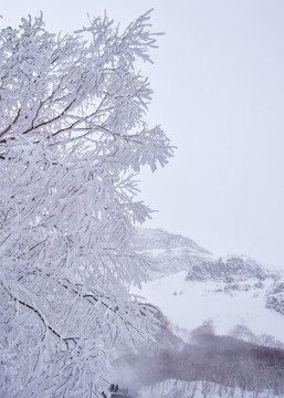 长白山雪景