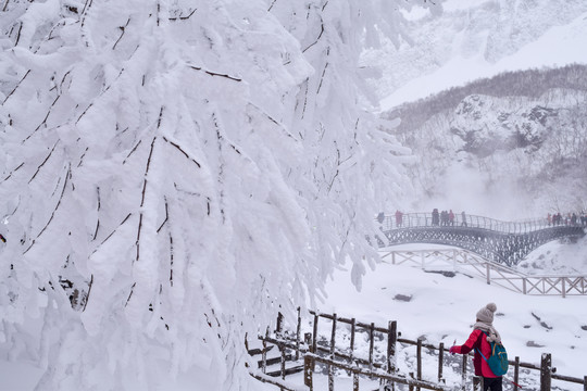 长白山雪景