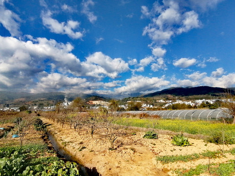 田野天空