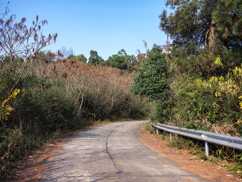 水泥路