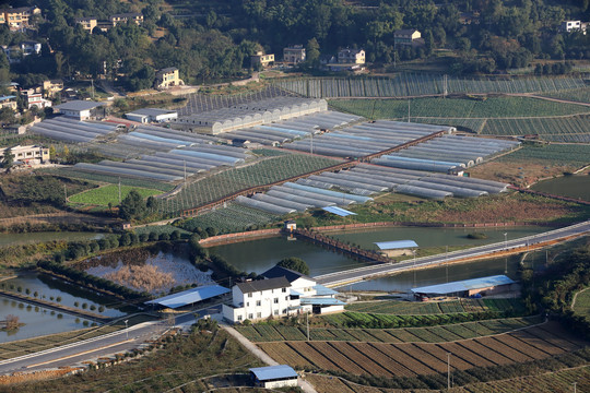 新农村建设