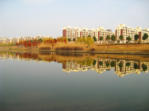 慈湖河冬景也美丽