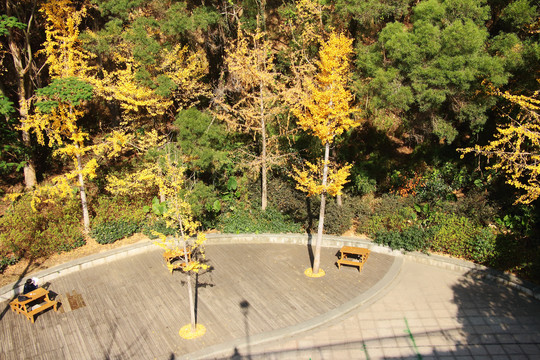 福州金雞山公園