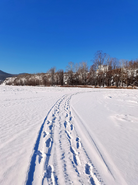 雪地印痕