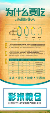 為什么要吃胚芽米