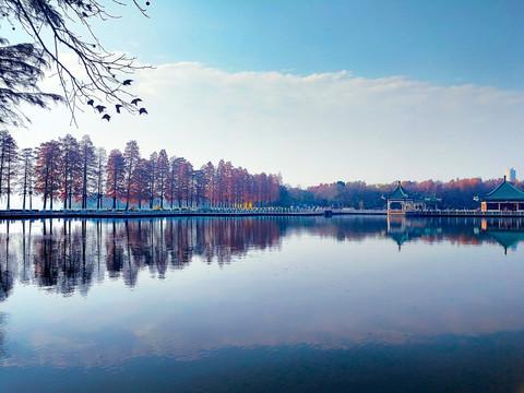 东湖梨园秋景