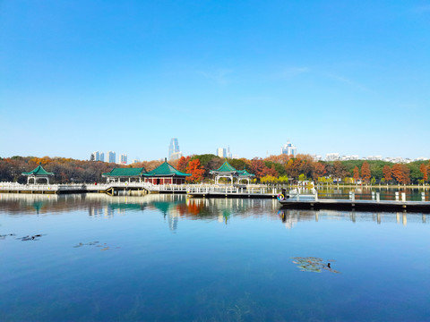 东湖梨园秋景