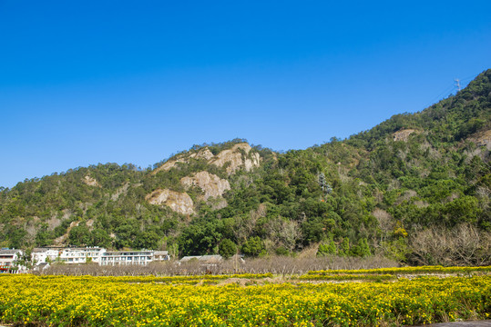 雁荡山风光