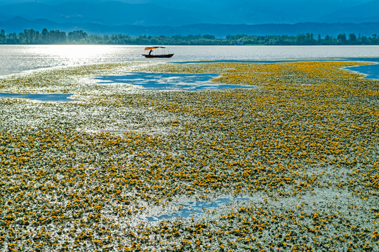 邛海湿地